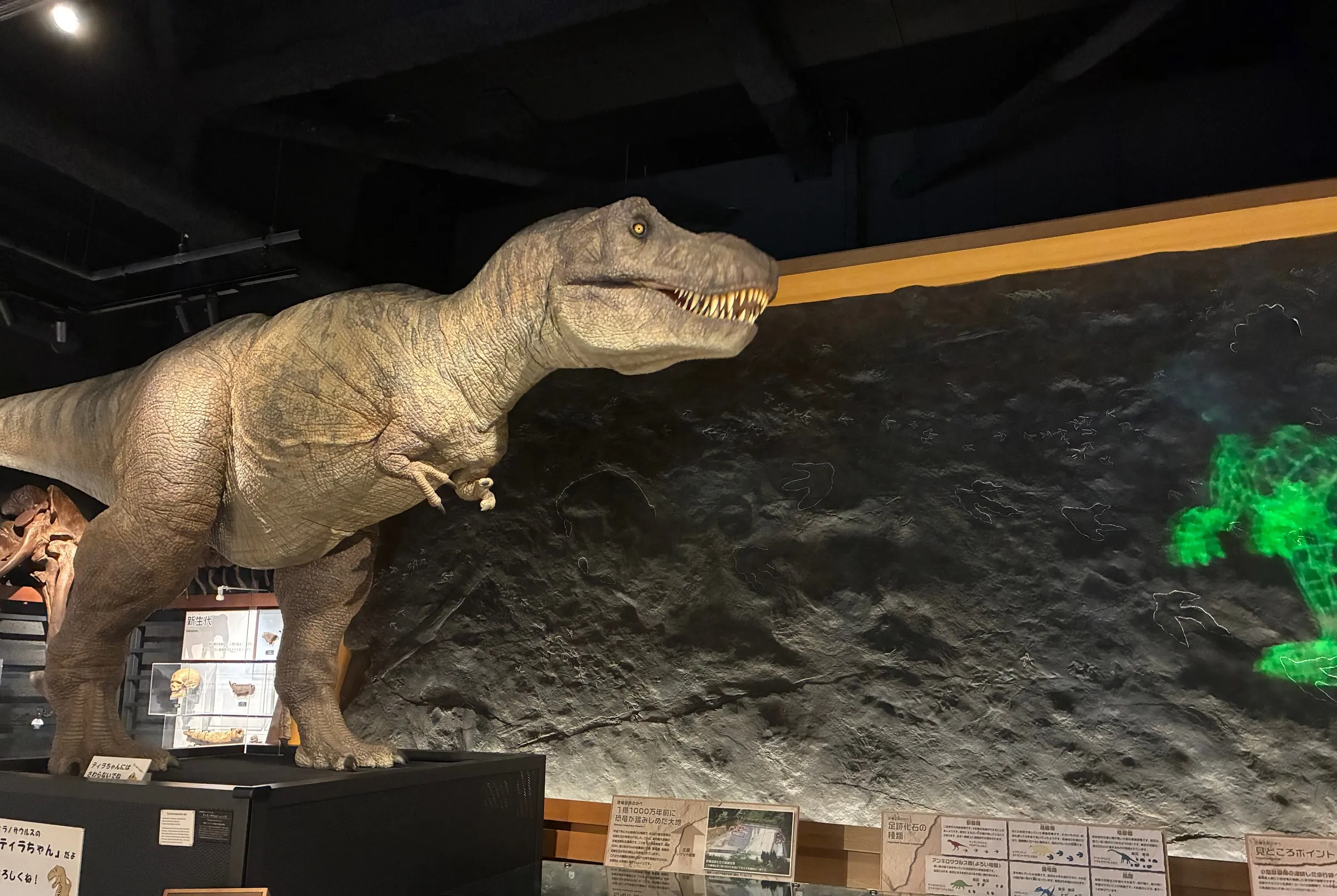 富山市科学博物館の写真