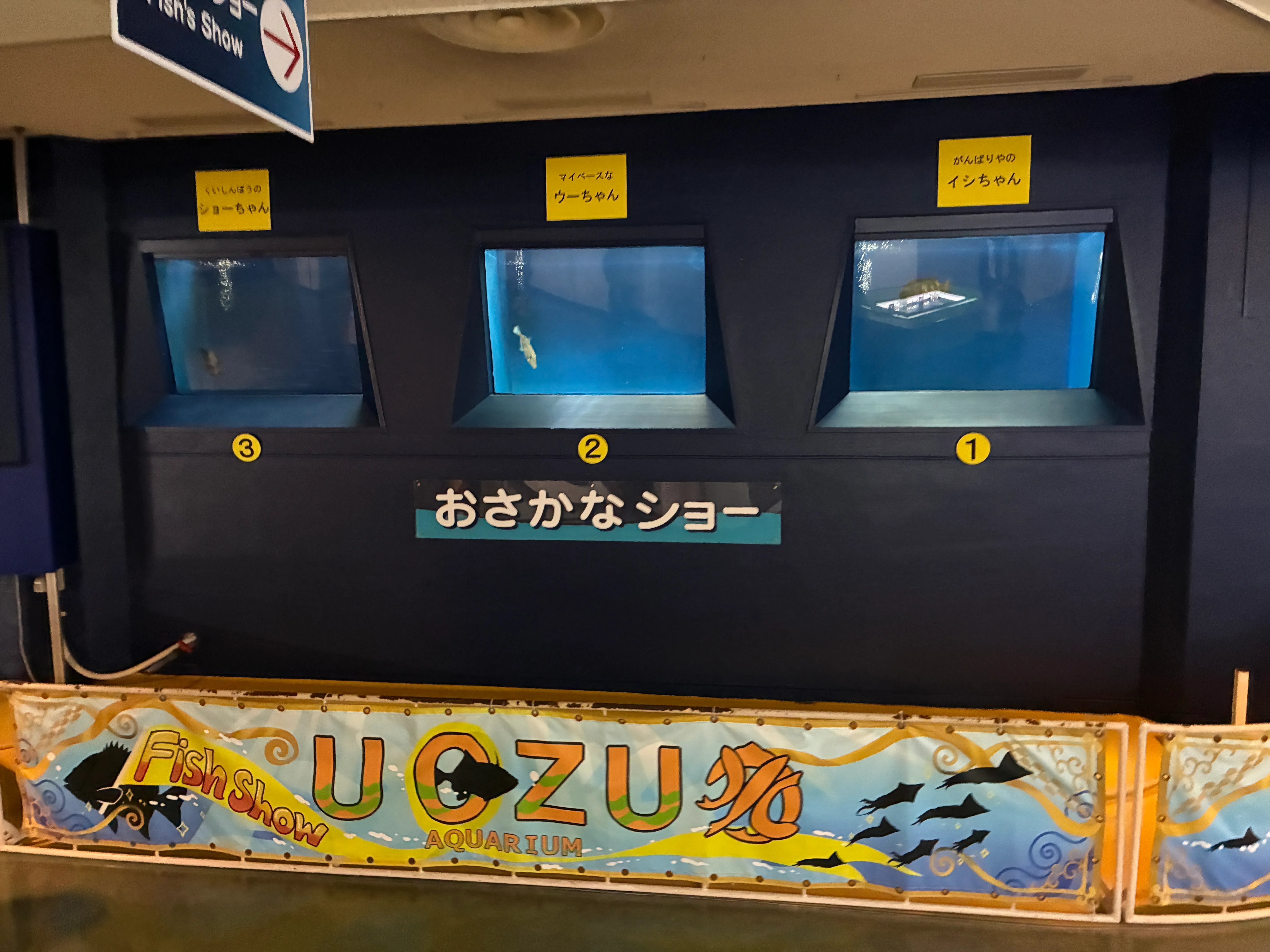 魚津水族館の写真 3枚目